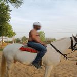 Students and Faculty Invented JockeyMotion Tracker to Treat Hippotherapy